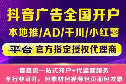 网络推广秘籍：竞价排名成功案例集锦